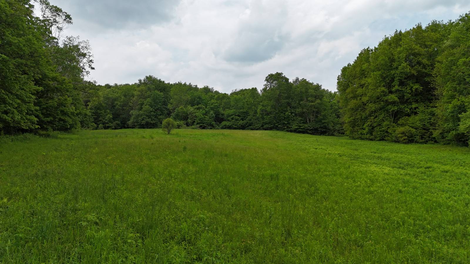 #22 photo, 192 St Rt 13, Williamstown , NY 13493