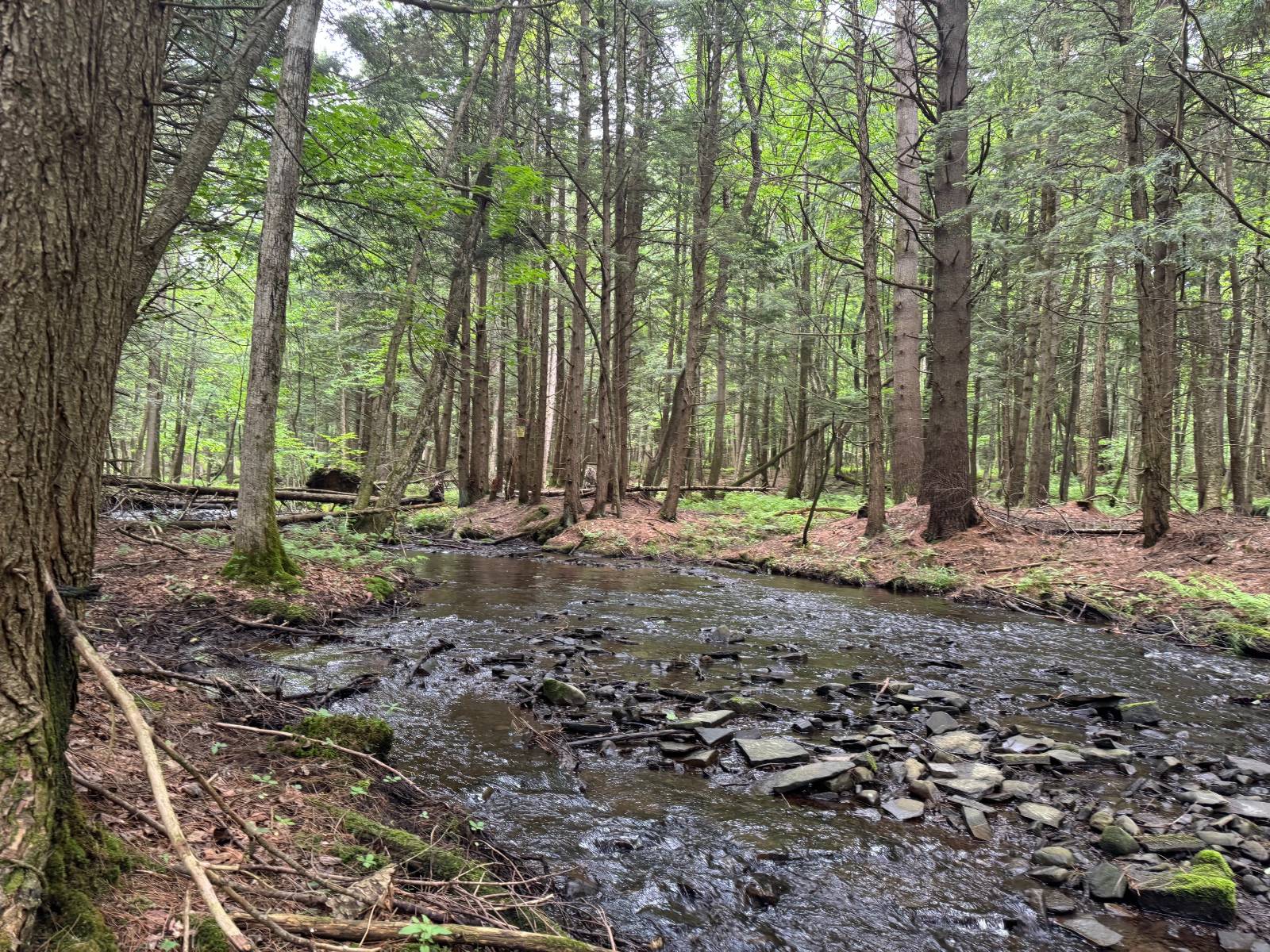 #23 photo, 192 St Rt 13, Williamstown , NY 13493