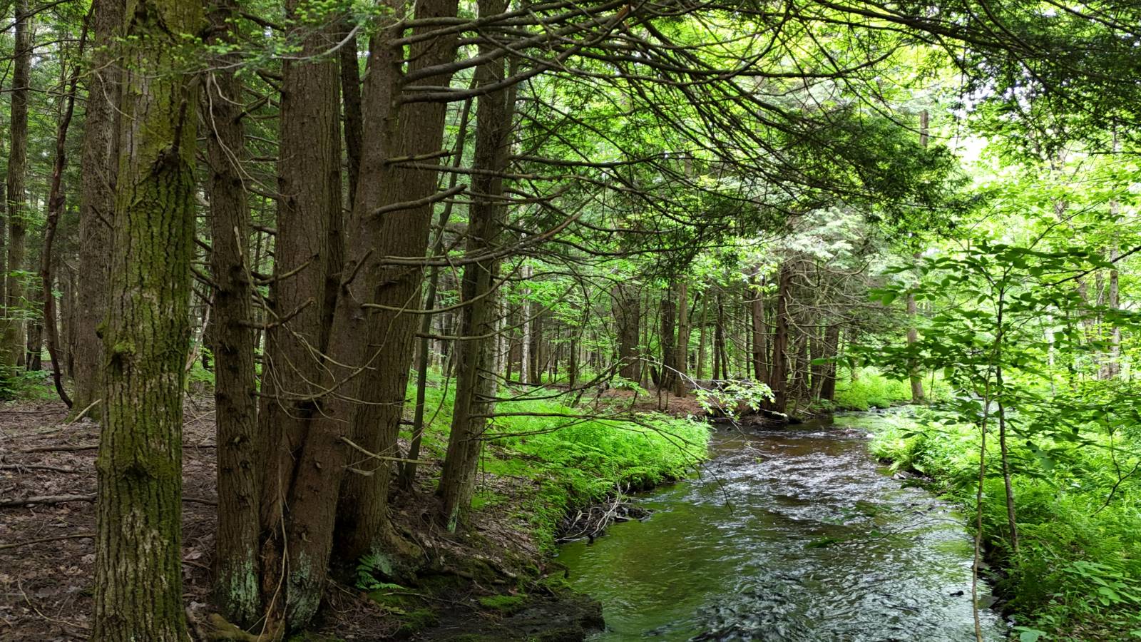 #24 photo, 192 St Rt 13, Williamstown , NY 13493