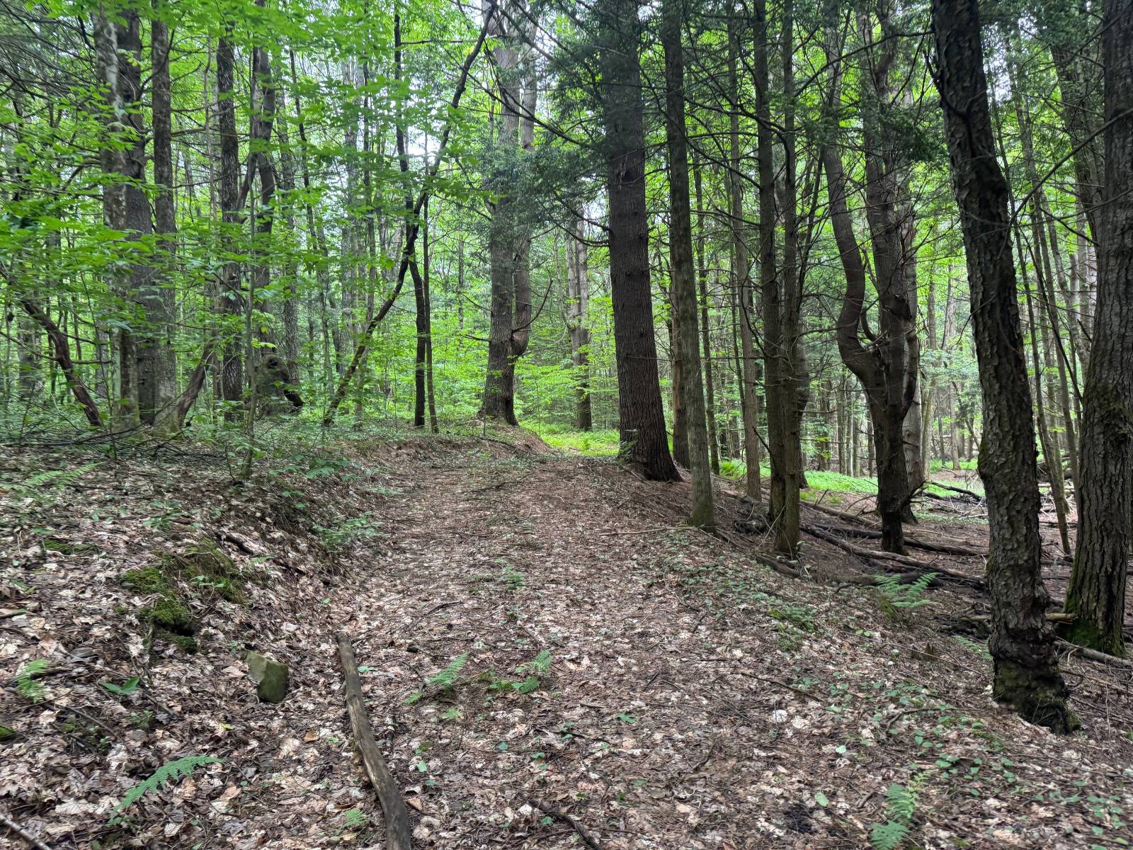 #25 photo, 192 St Rt 13, Williamstown , NY 13493