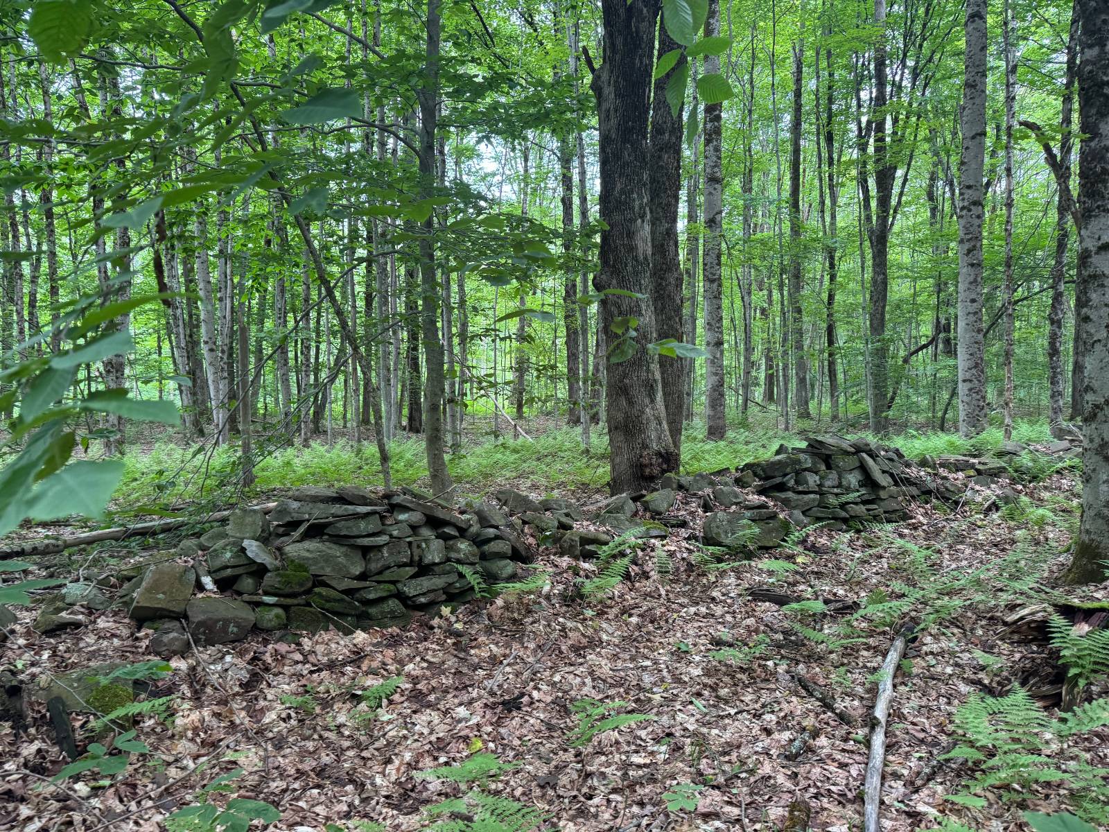 #26 photo, 192 St Rt 13, Williamstown , NY 13493