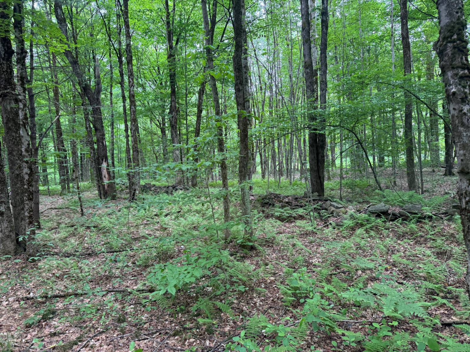 #27 photo, 192 St Rt 13, Williamstown , NY 13493