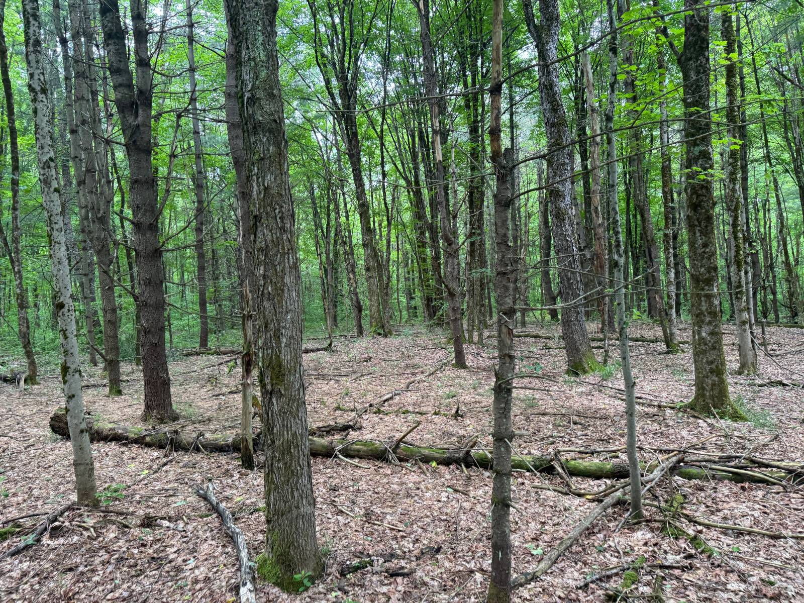 #30 photo, 192 St Rt 13, Williamstown , NY 13493