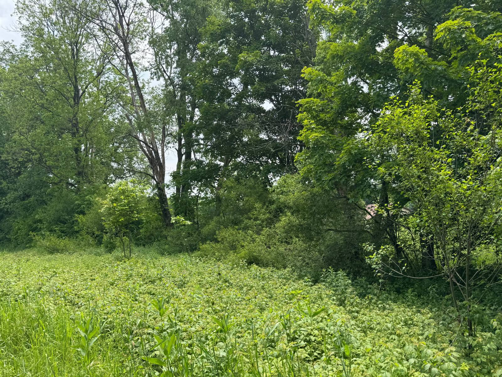 #31 photo, 192 St Rt 13, Williamstown , NY 13493