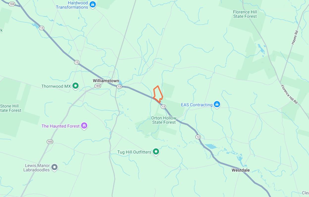 #35 photo, 192 St Rt 13, Williamstown , NY 13493