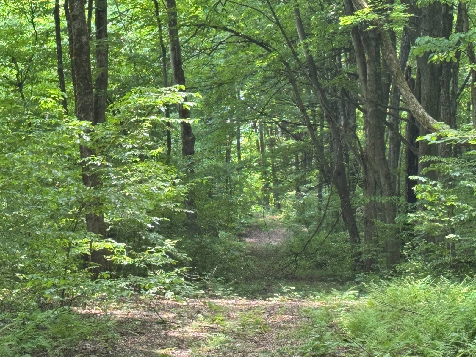 #41 photo, 192 St Rt 13, Williamstown , NY 13493