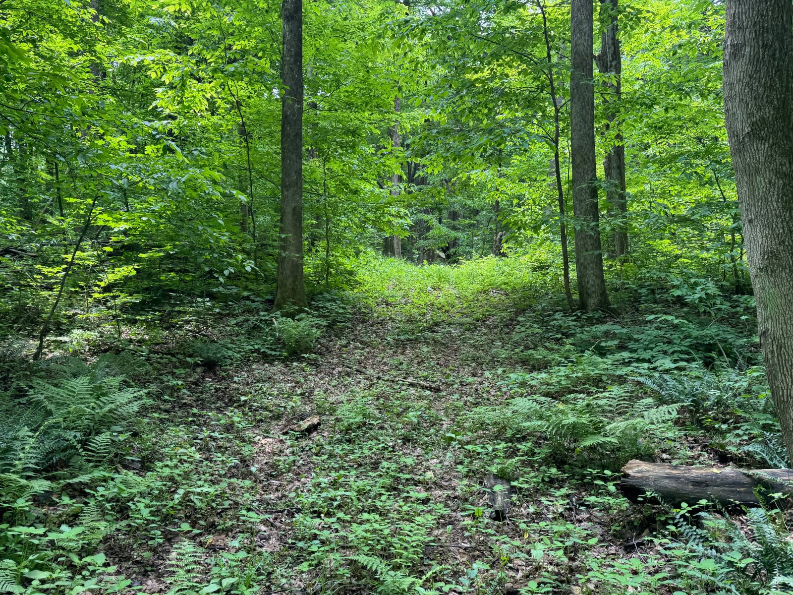 #42 photo, 192 St Rt 13, Williamstown , NY 13493