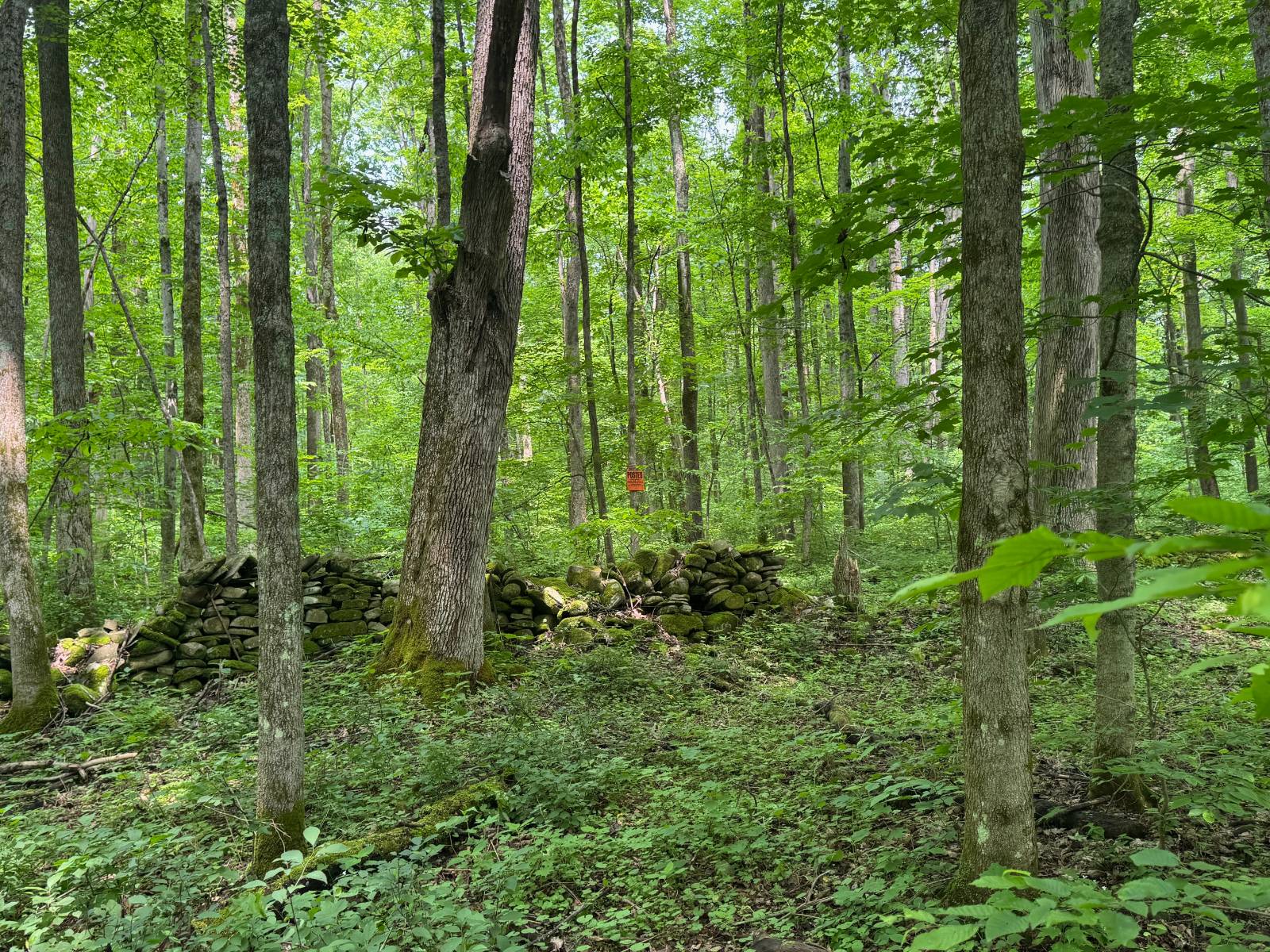 #43 photo, 192 St Rt 13, Williamstown , NY 13493