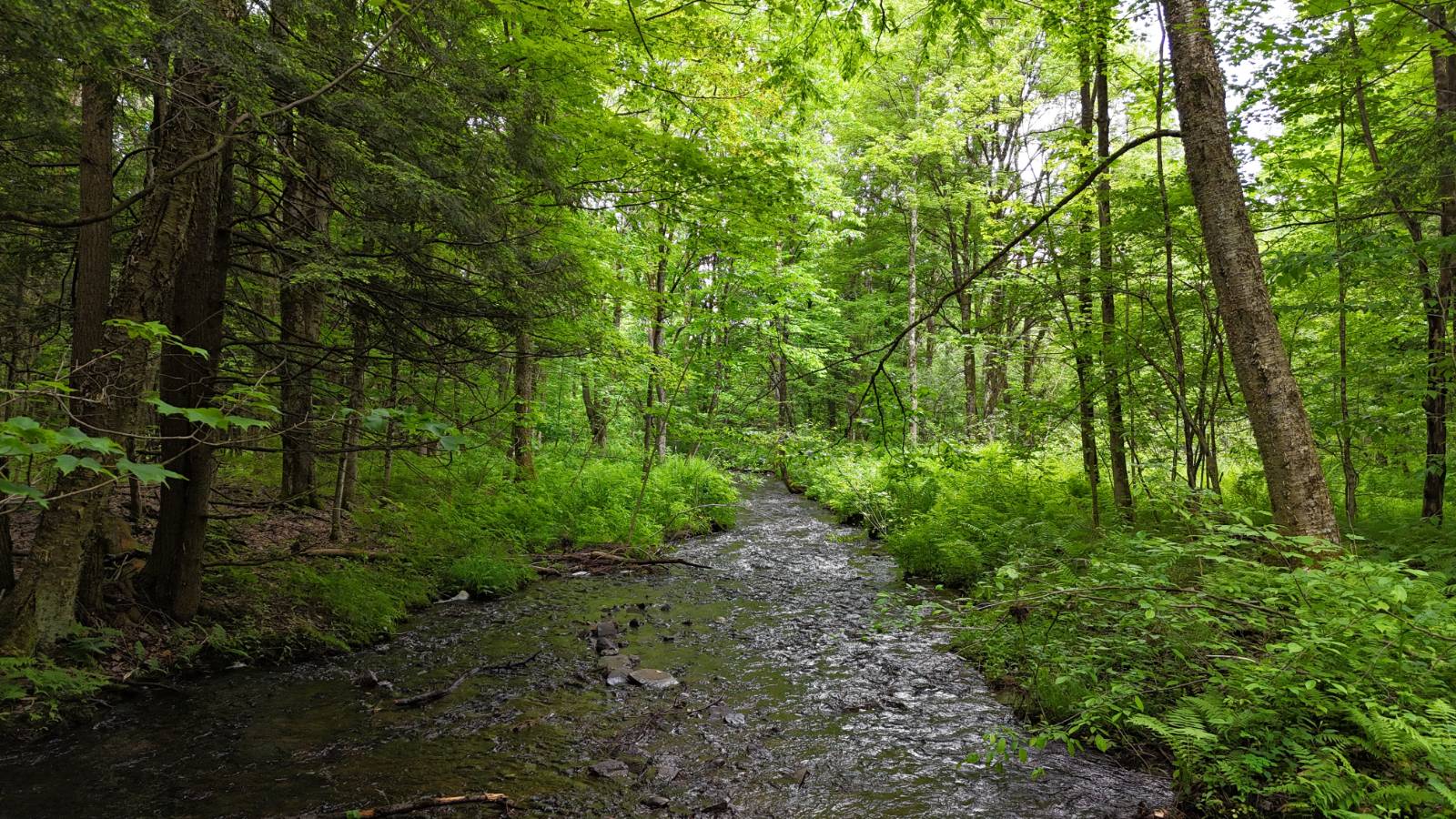 #6 photo, 192 St Rt 13, Williamstown , NY 13493