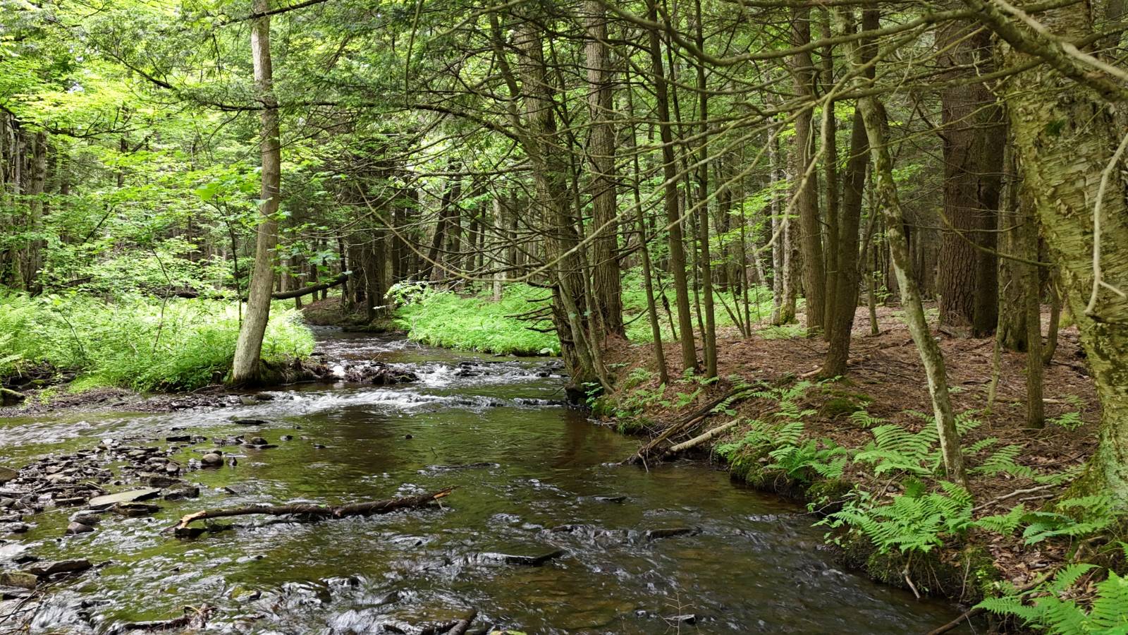 #7 photo, 192 St Rt 13, Williamstown , NY 13493