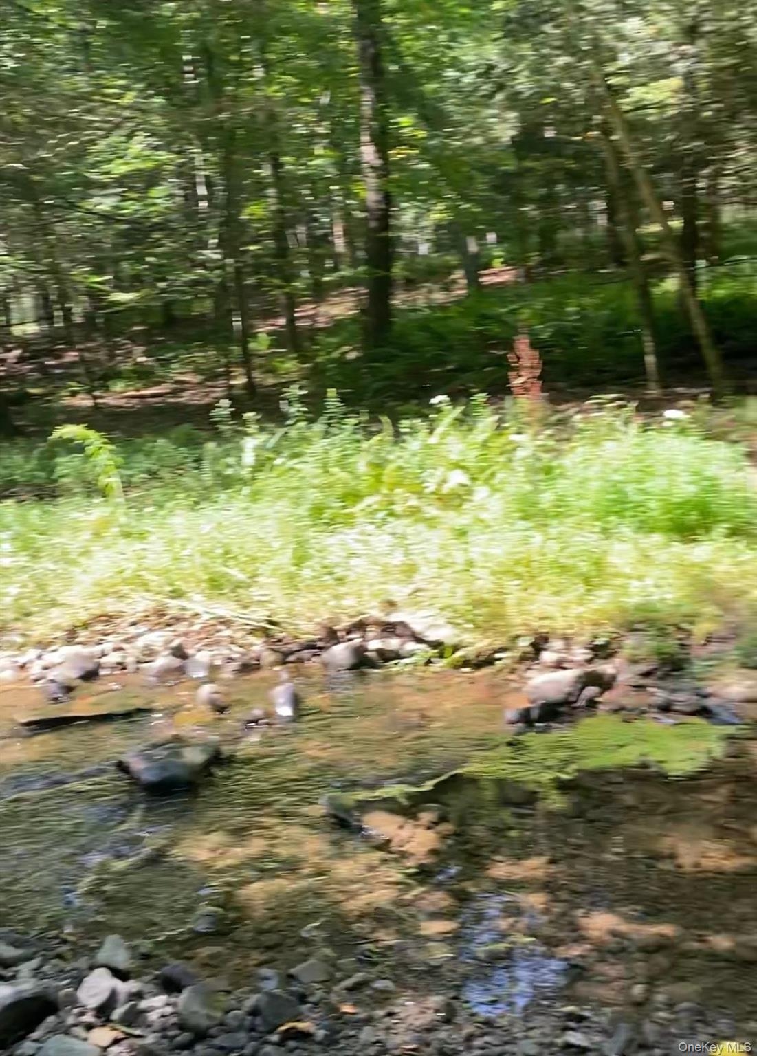 #10 photo, Hessinger Lare Road, Youngsville , NY 12791