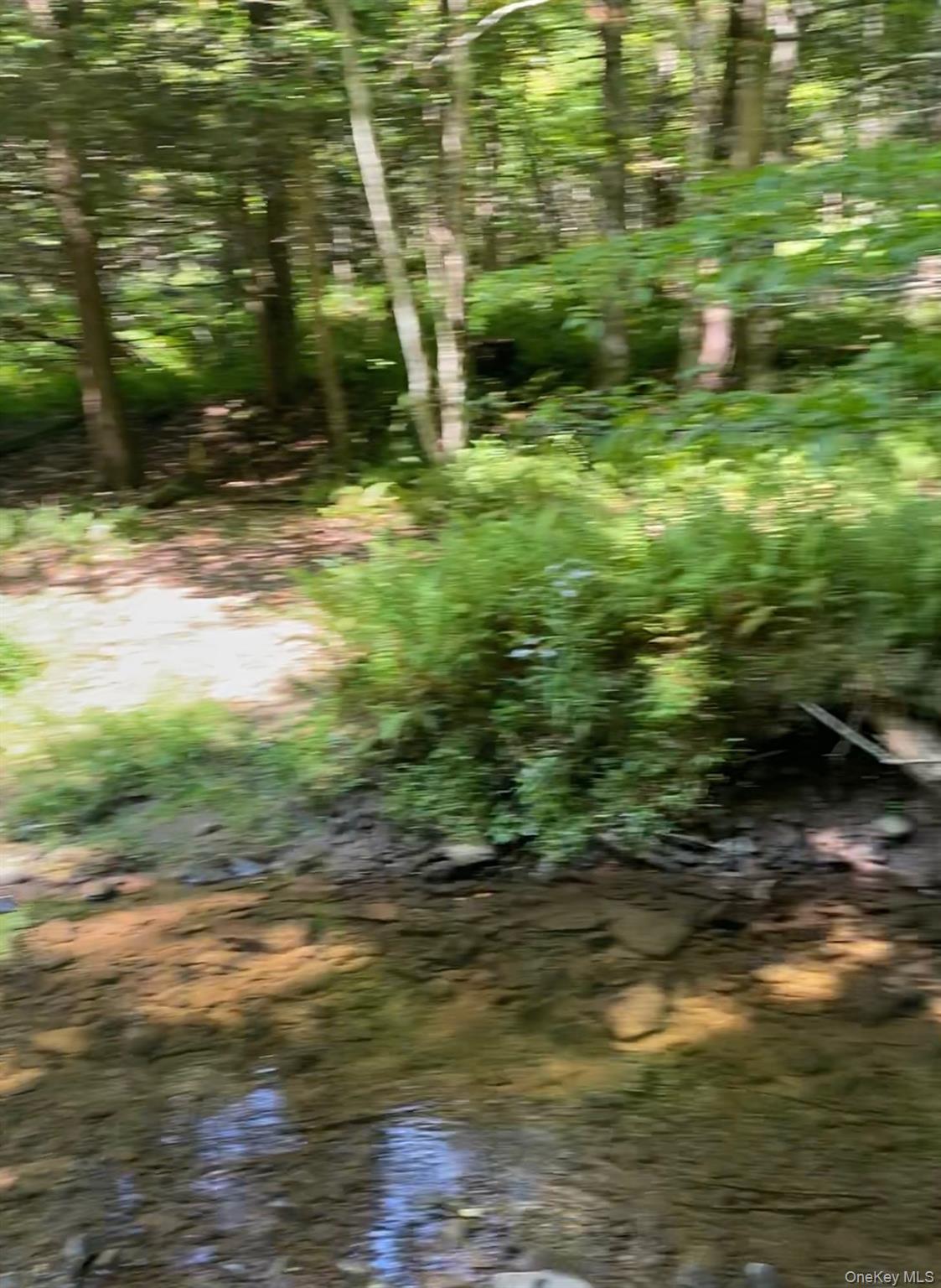 #11 photo, Hessinger Lare Road, Youngsville , NY 12791