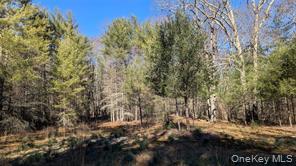 #16 photo, Hessinger Lare Road, Youngsville , NY 12791