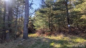 #17 photo, Hessinger Lare Road, Youngsville , NY 12791