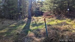 #18 photo, Hessinger Lare Road, Youngsville , NY 12791