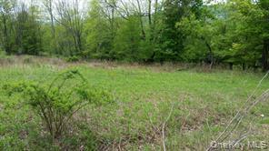 #2 photo, Hessinger Lare Road, Youngsville , NY 12791