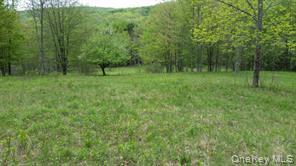 #3 photo, Hessinger Lare Road, Youngsville , NY 12791