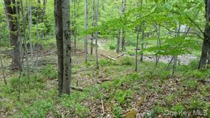 #4 photo, Hessinger Lare Road, Youngsville , NY 12791