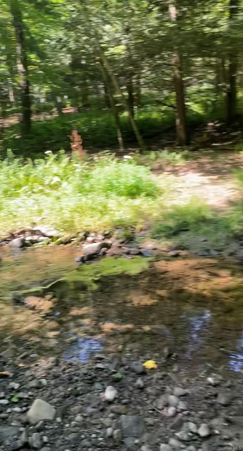 #7 photo, Hessinger Lare Road, Youngsville , NY 12791