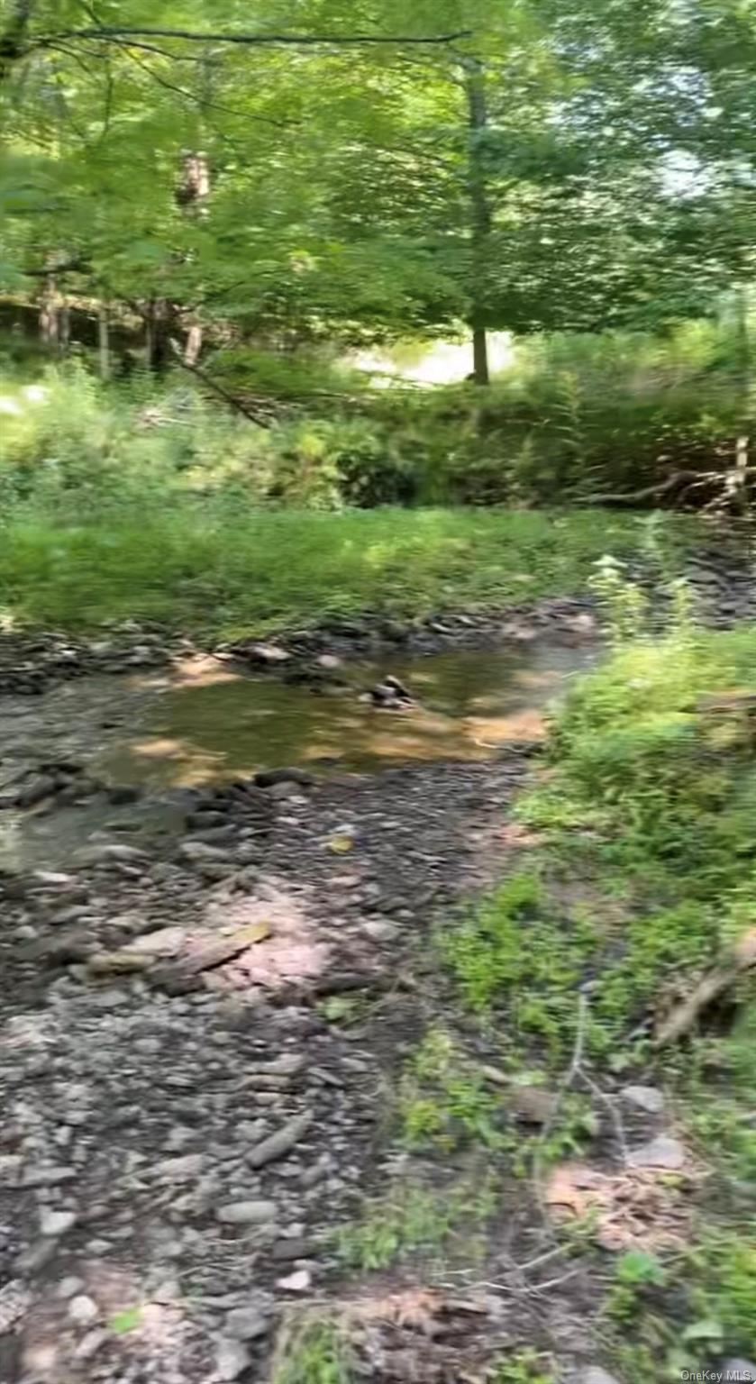 #8 photo, Hessinger Lare Road, Youngsville , NY 12791