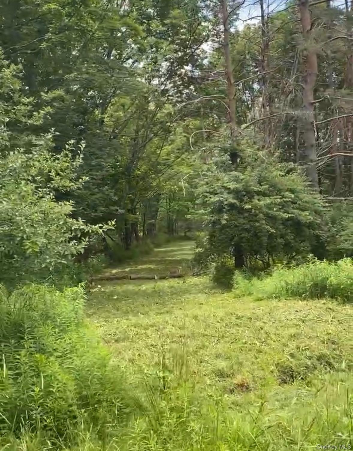 #9 photo, Hessinger Lare Road, Youngsville , NY 12791