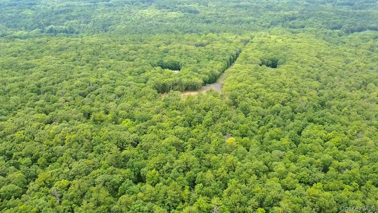 #3 photo, 11 Rock Hill Road, Earlton , NY 12051