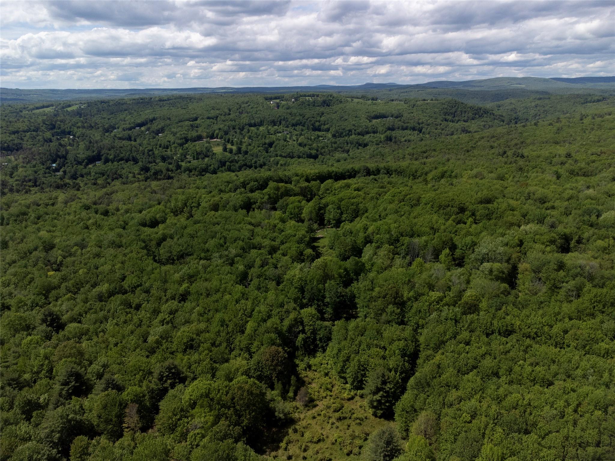 #11 photo, 650 Thunder Hill Road, Neversink , NY 12788