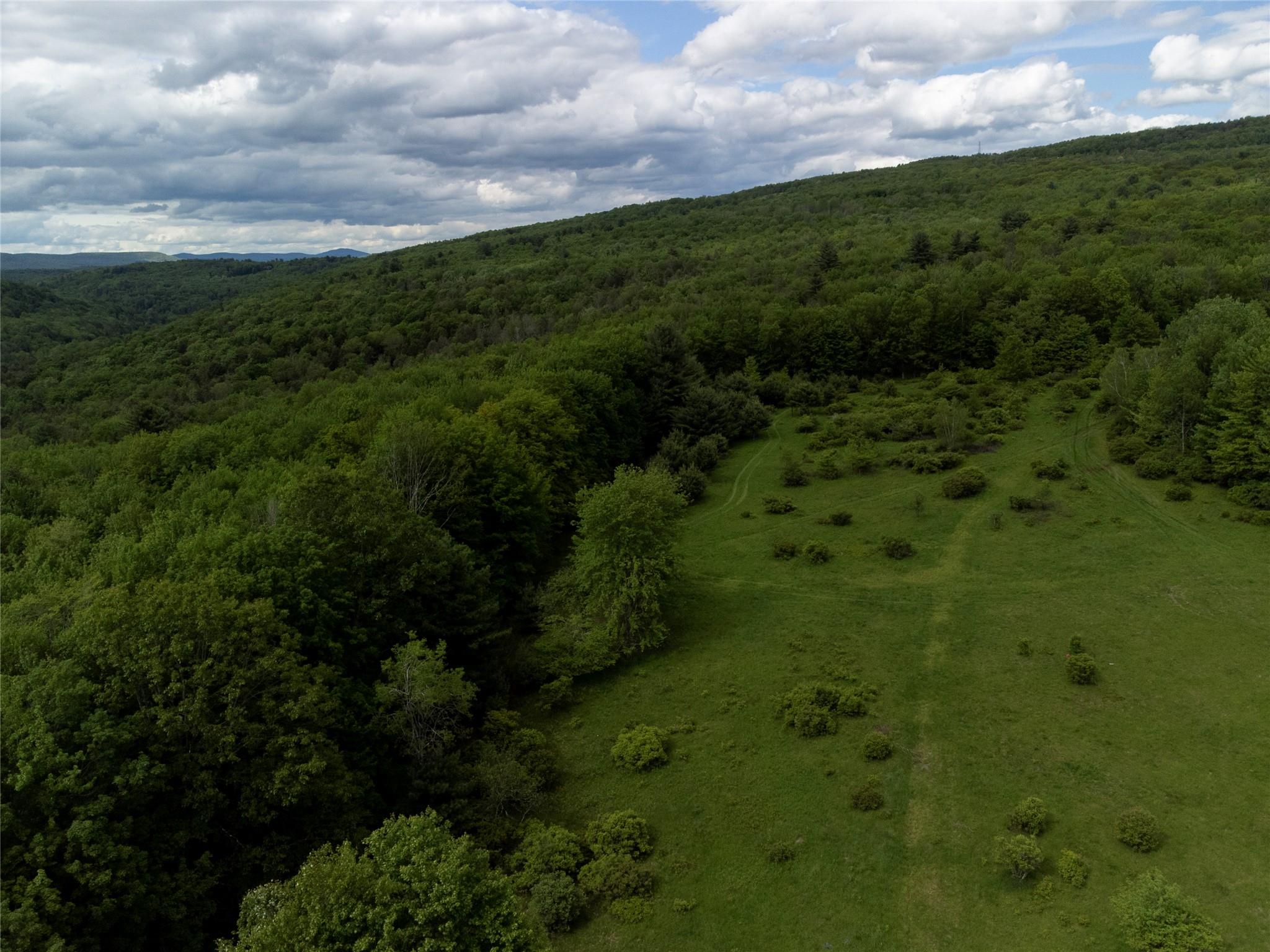 #17 photo, 650 Thunder Hill Road, Neversink , NY 12788