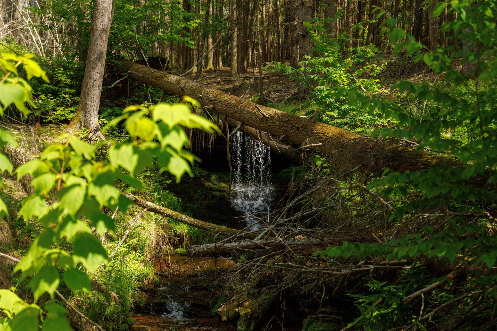 #2 photo, 650 Thunder Hill Road, Neversink , NY 12788