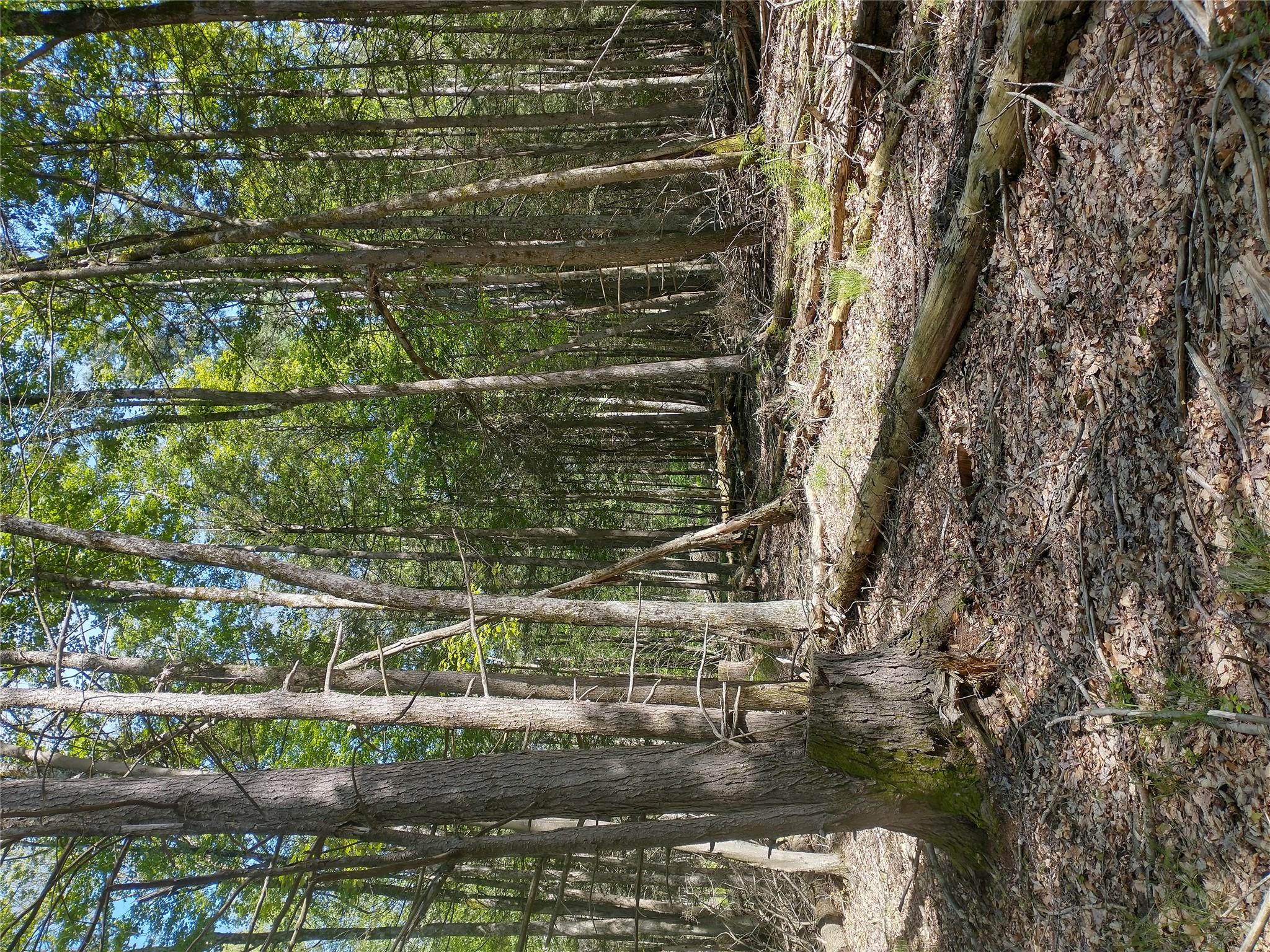 #20 photo, 650 Thunder Hill Road, Neversink , NY 12788