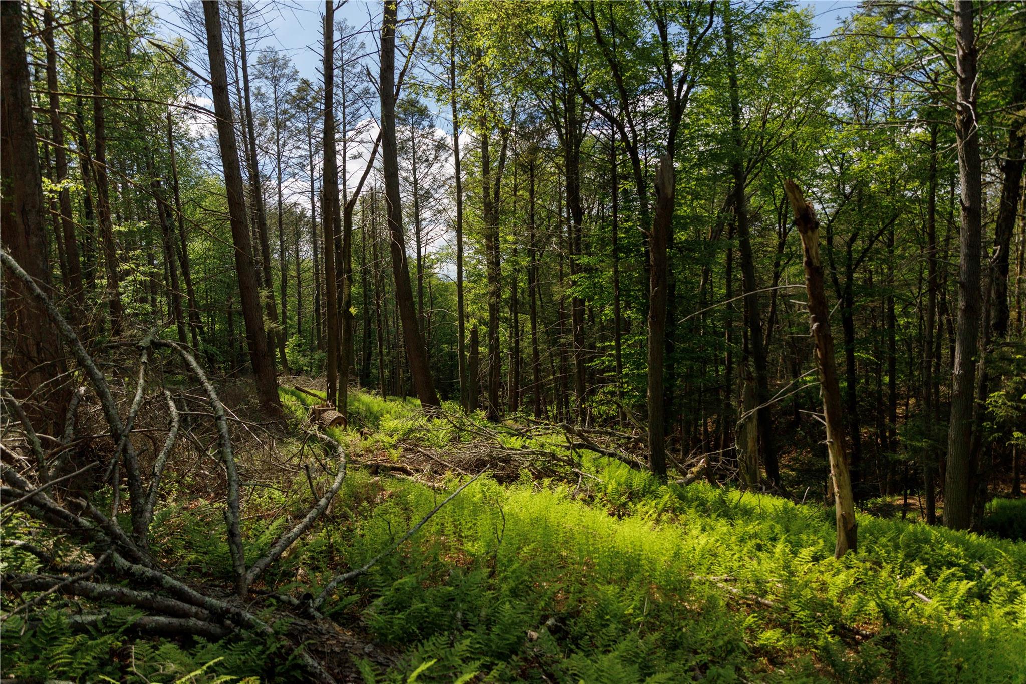 #3 photo, 650 Thunder Hill Road, Neversink , NY 12788