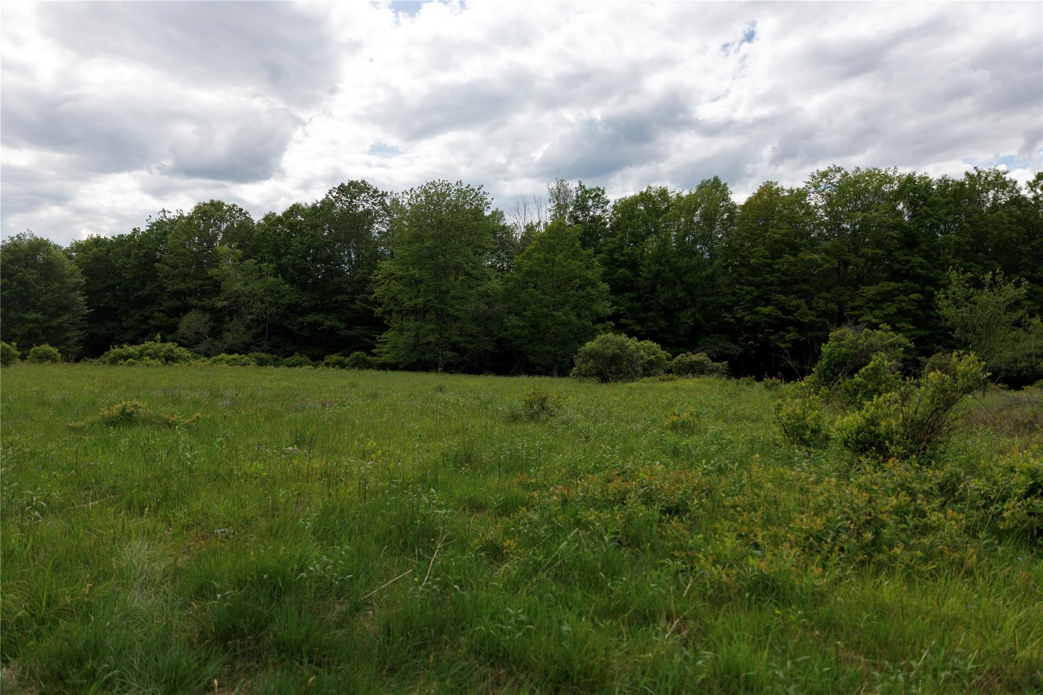 #6 photo, 650 Thunder Hill Road, Neversink , NY 12788