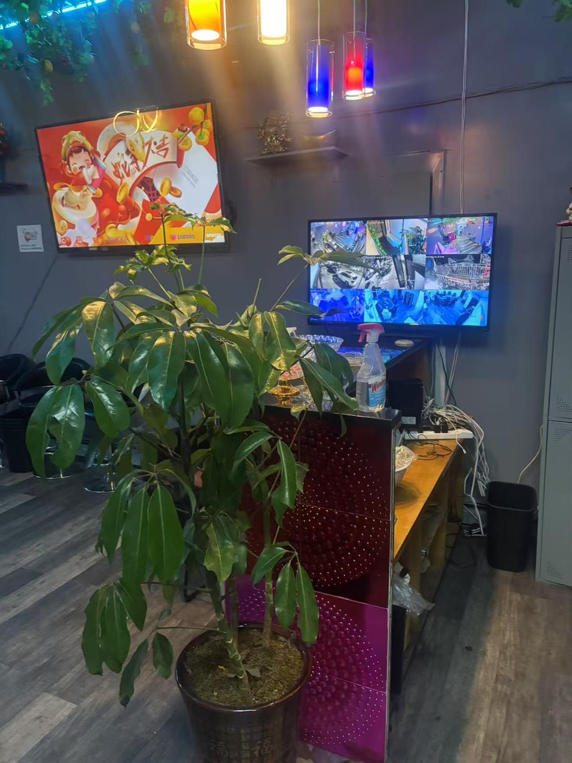 #4 photo, Little Neck, クイーンズ区 Little Neck , NY 11021