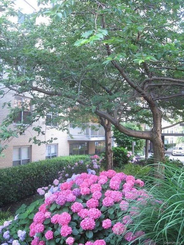 #18 photo, 2500 Johnson Avenue, ブロンクス区 Bronx , NY 10463