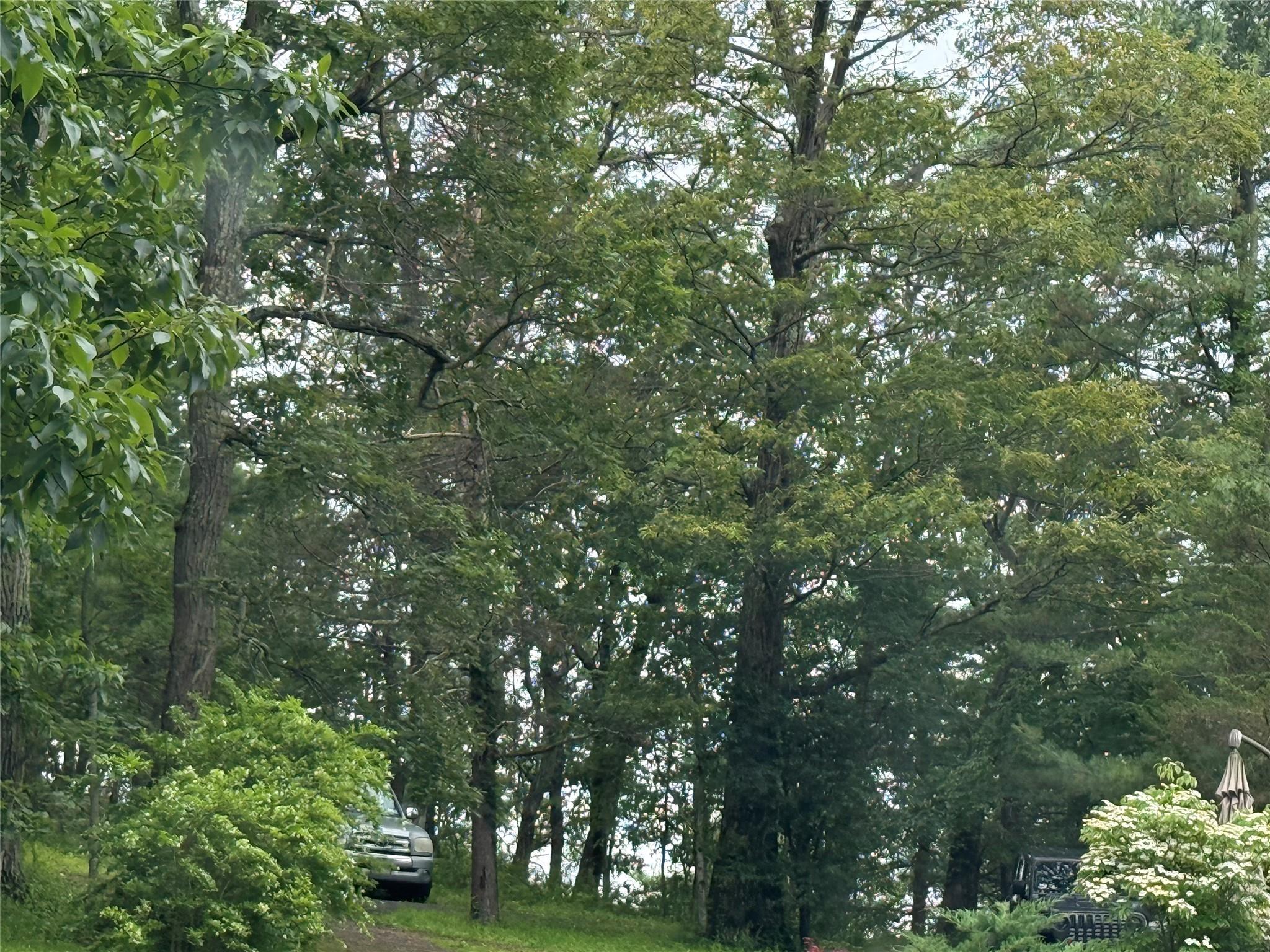 #1 photo, E Mombasha Road, 紐約州 Monroe , NY 10950