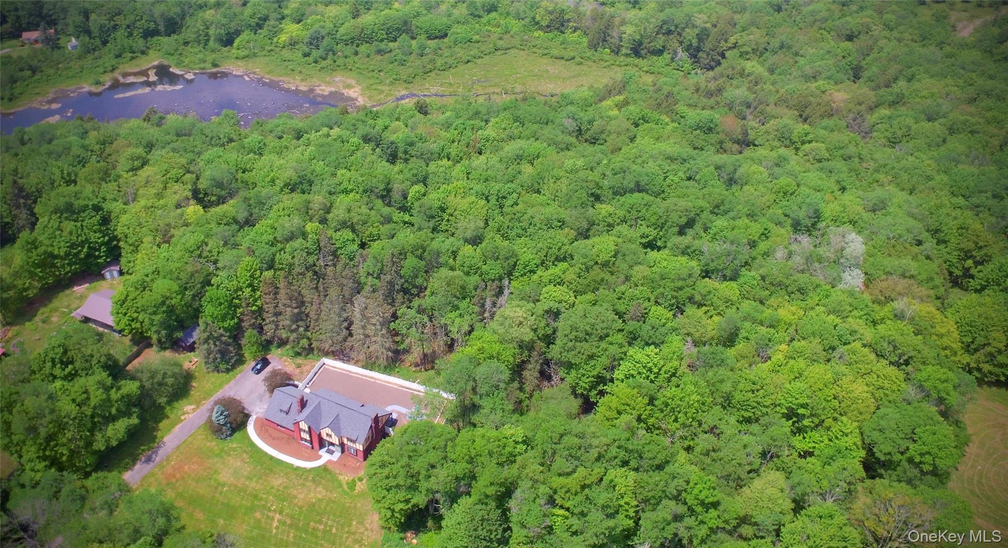 #3 photo, 285 Goff Road, Livingston Manor , NY 12758