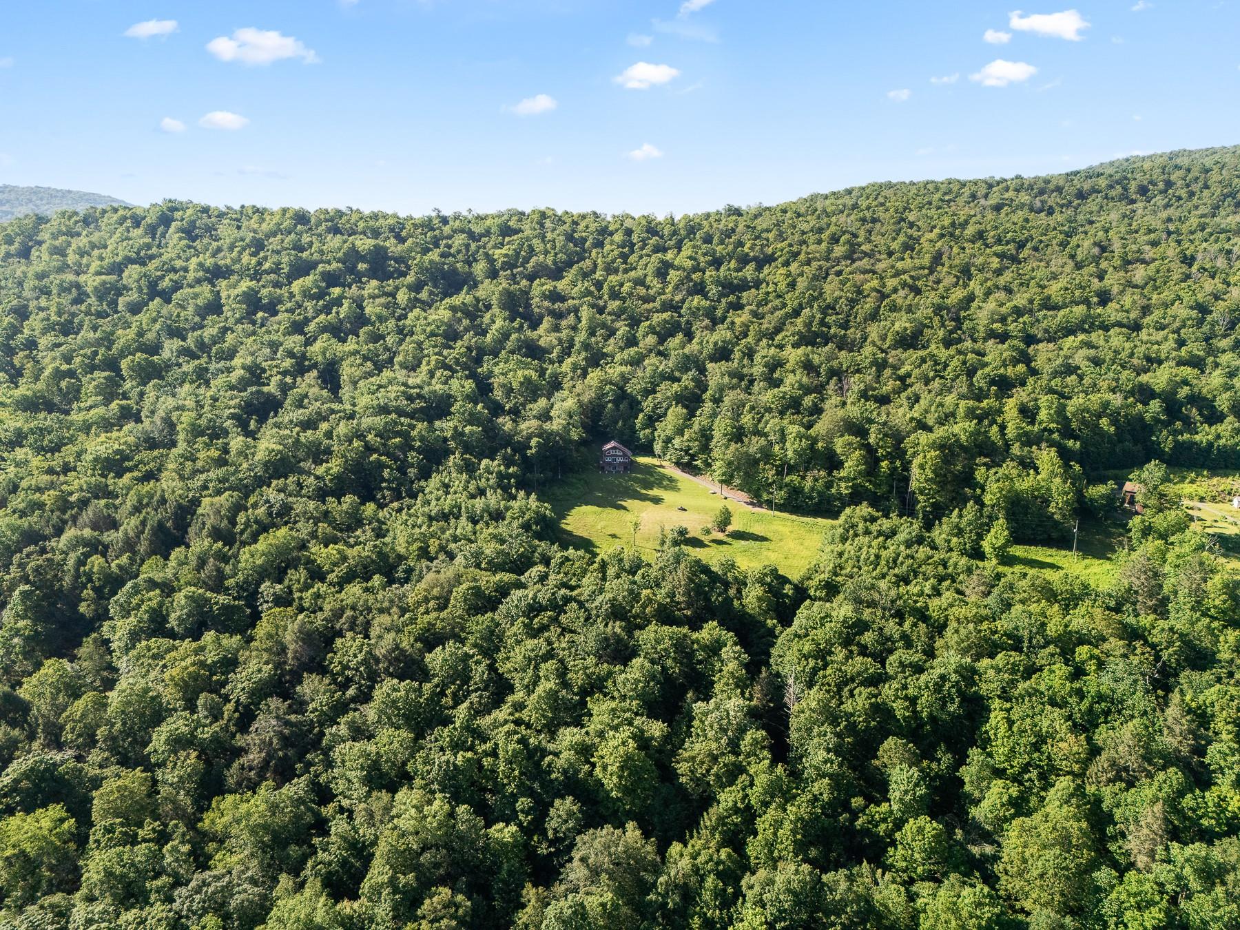 #10 photo, 734 Lewis Road, Walton , NY 13856