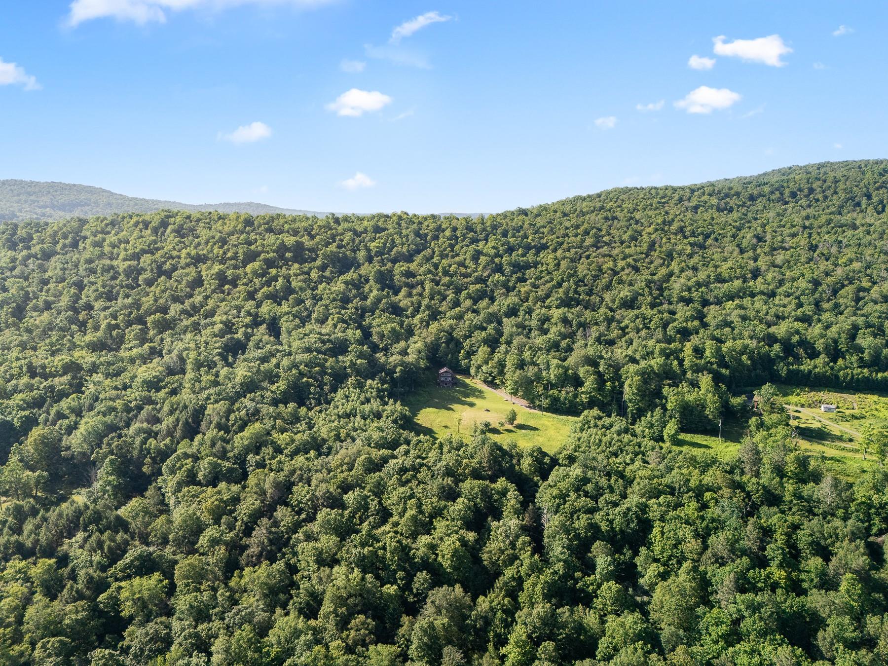 #11 photo, 734 Lewis Road, Walton , NY 13856