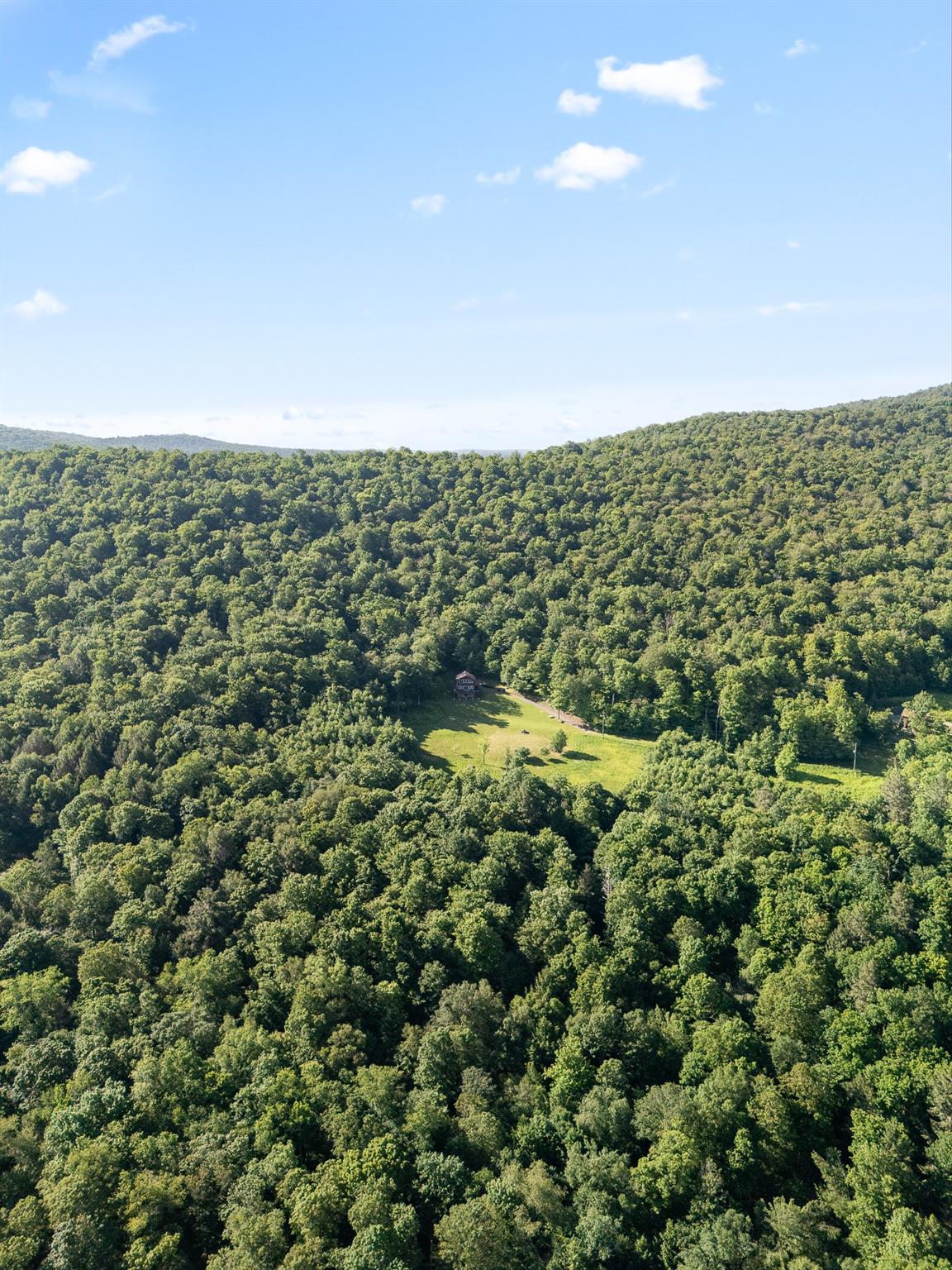 #12 photo, 734 Lewis Road, Walton , NY 13856