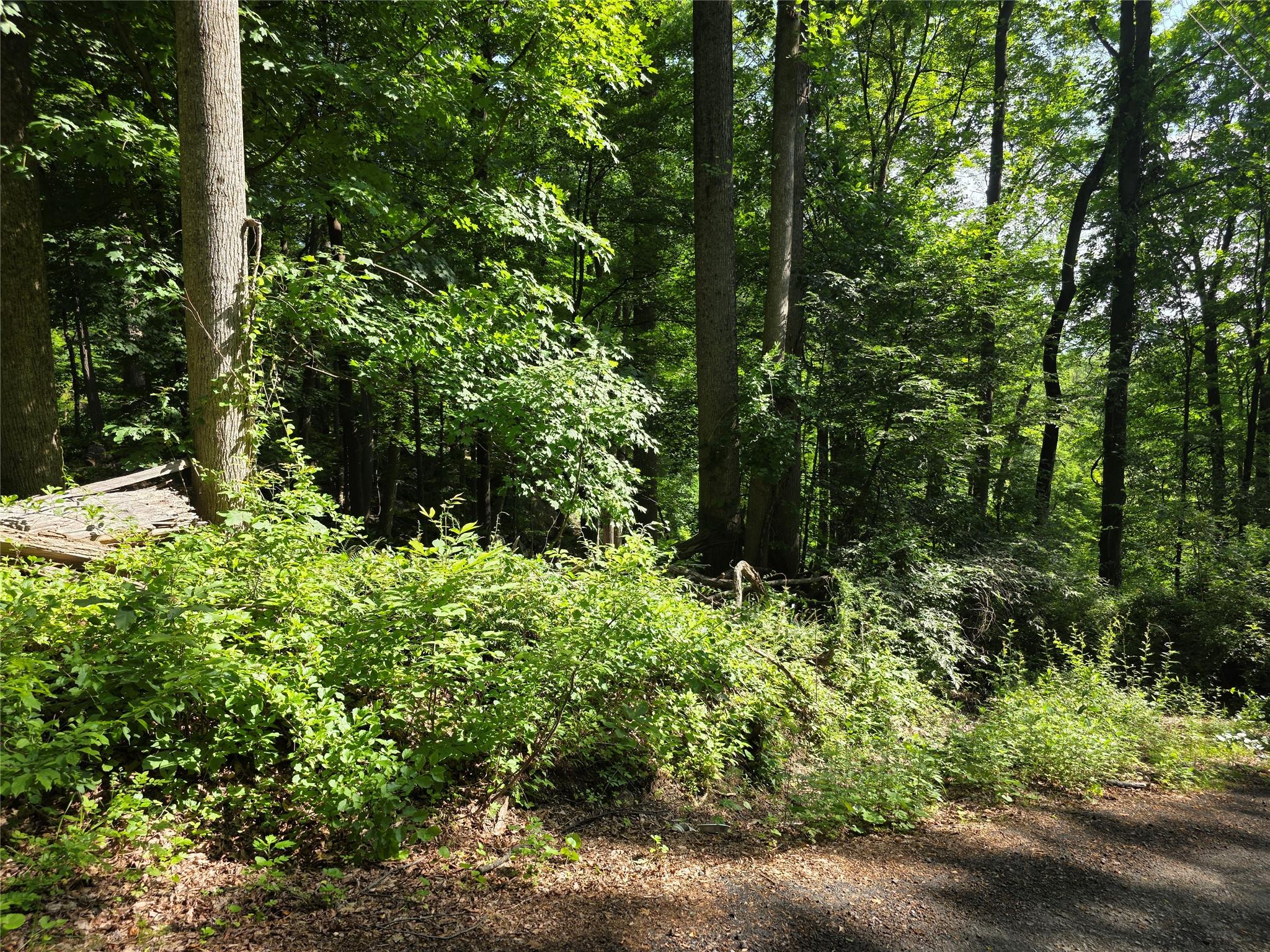 #2 photo, 106 Upland Drive, Garrison , NY 10524