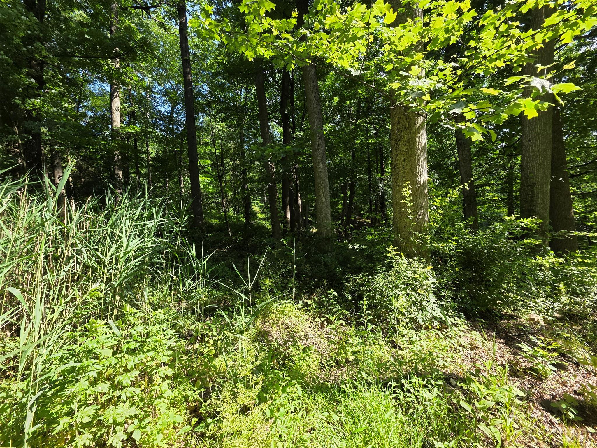 #4 photo, 106 Upland Drive, Garrison , NY 10524