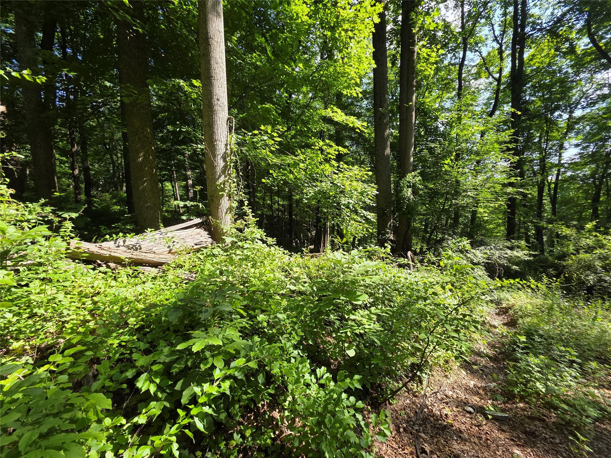 #6 photo, 106 Upland Drive, Garrison , NY 10524