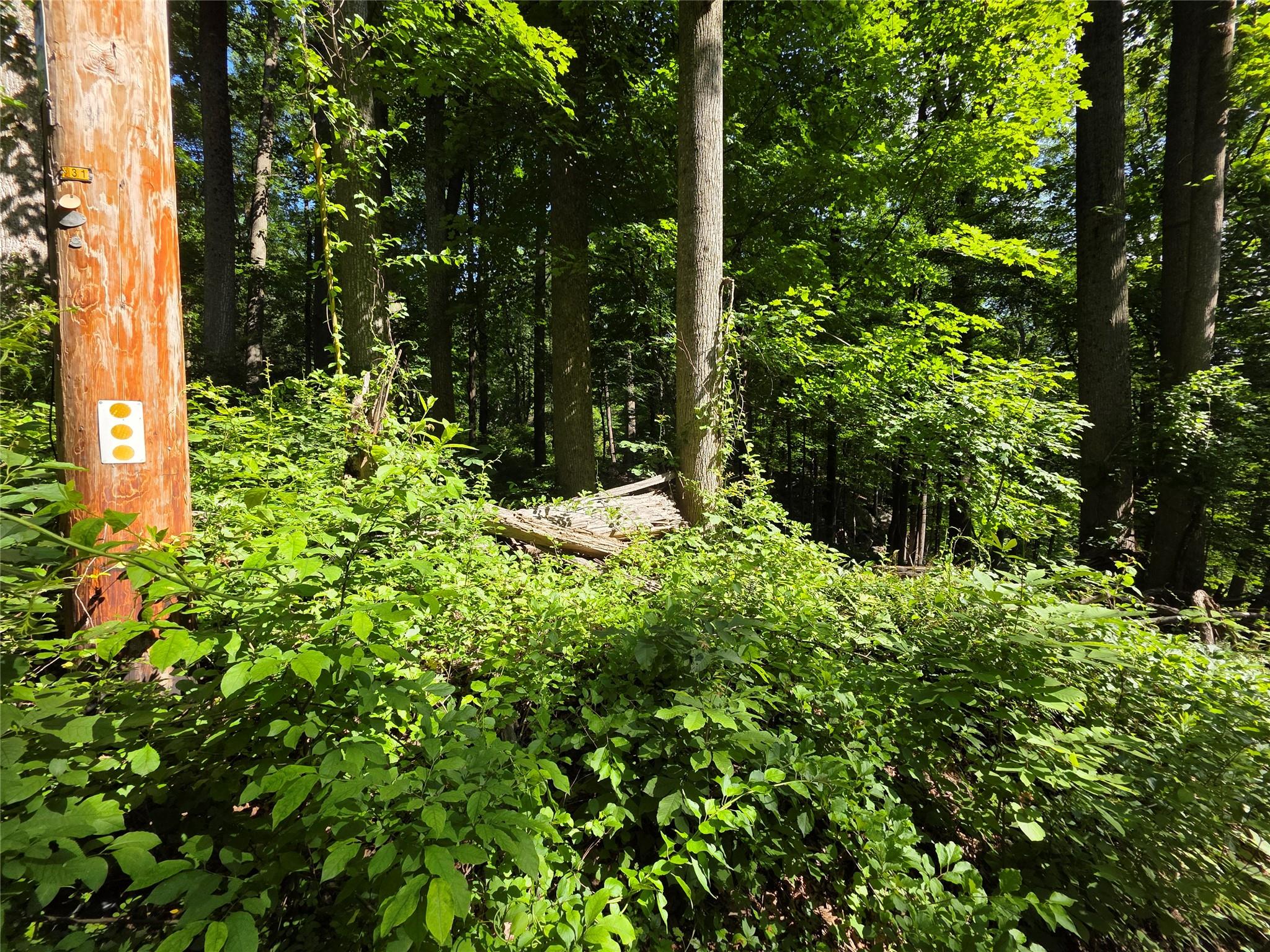 #7 photo, 106 Upland Drive, Garrison , NY 10524