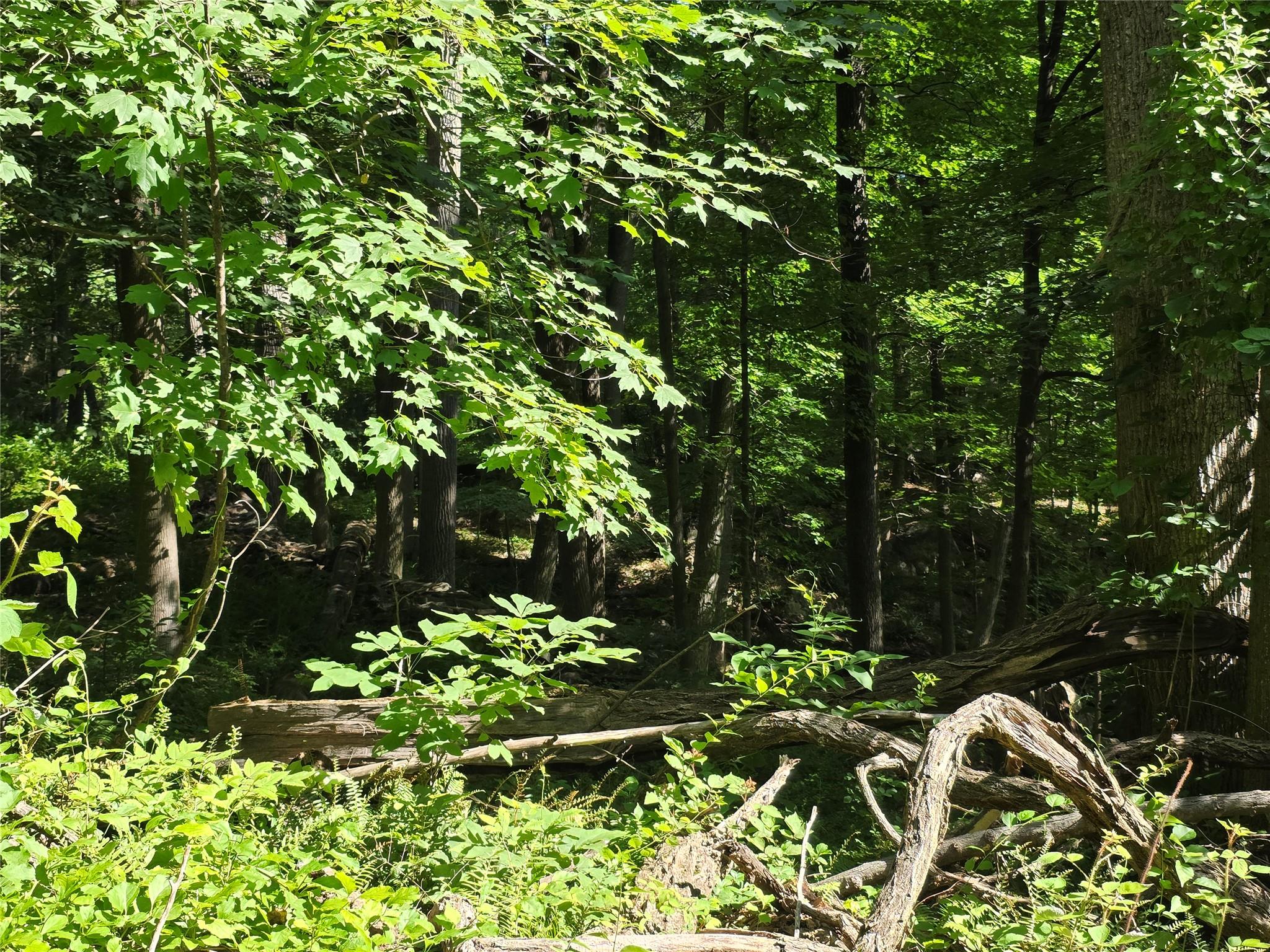 #8 photo, 106 Upland Drive, Garrison , NY 10524