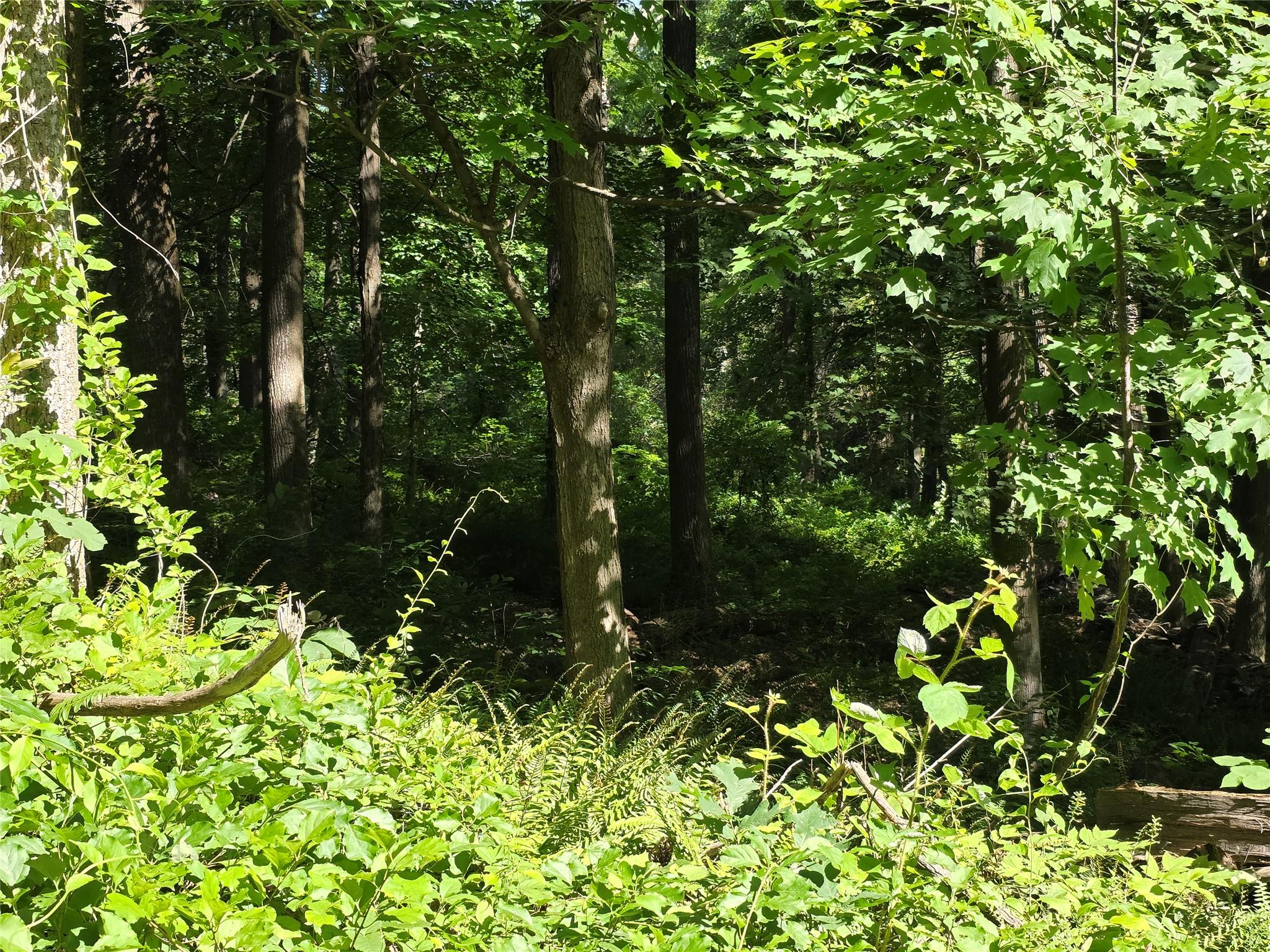 #9 photo, 106 Upland Drive, Garrison , NY 10524