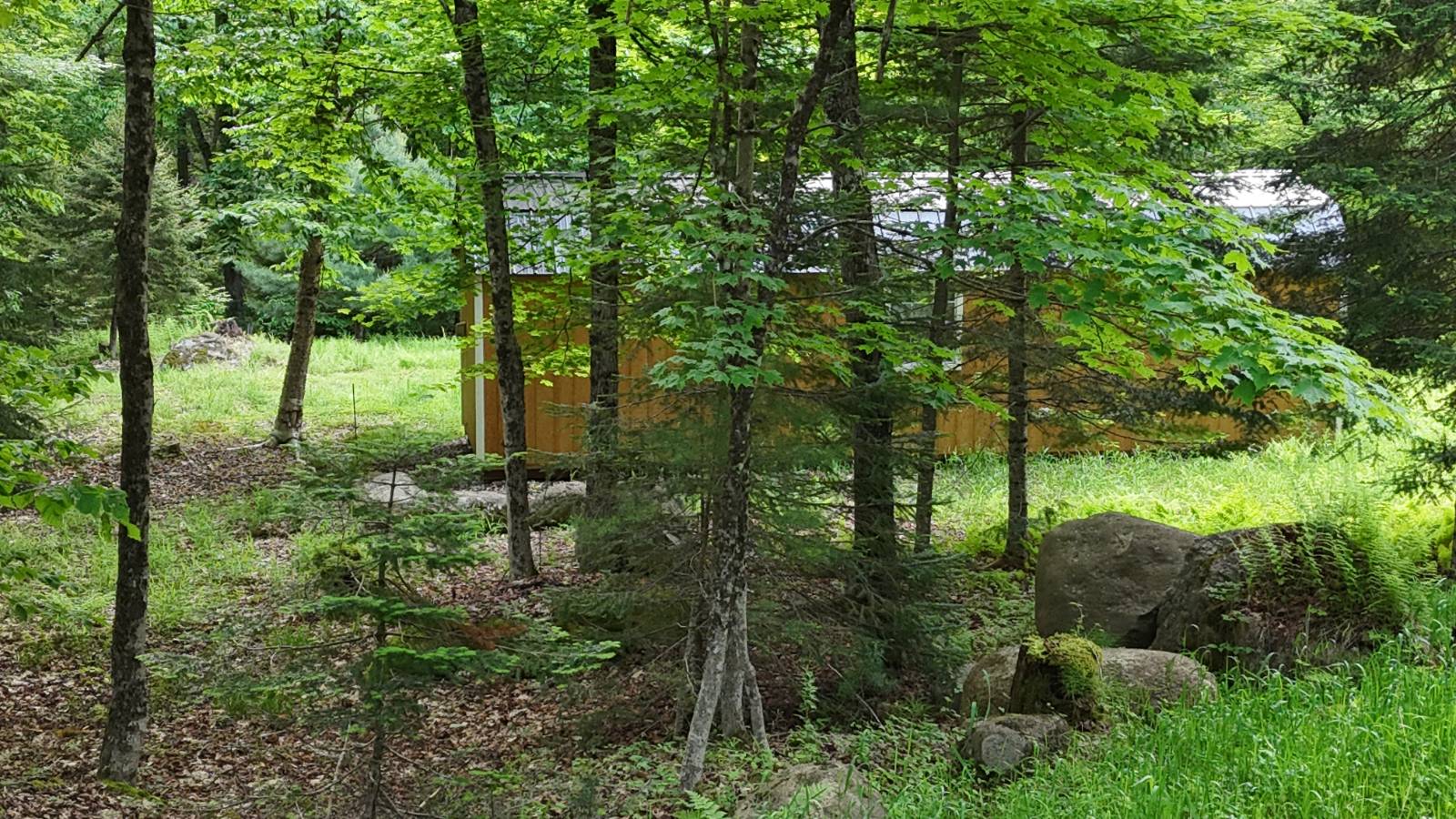 #11 photo, 00 Withers Rd, Ohio , NY 13324