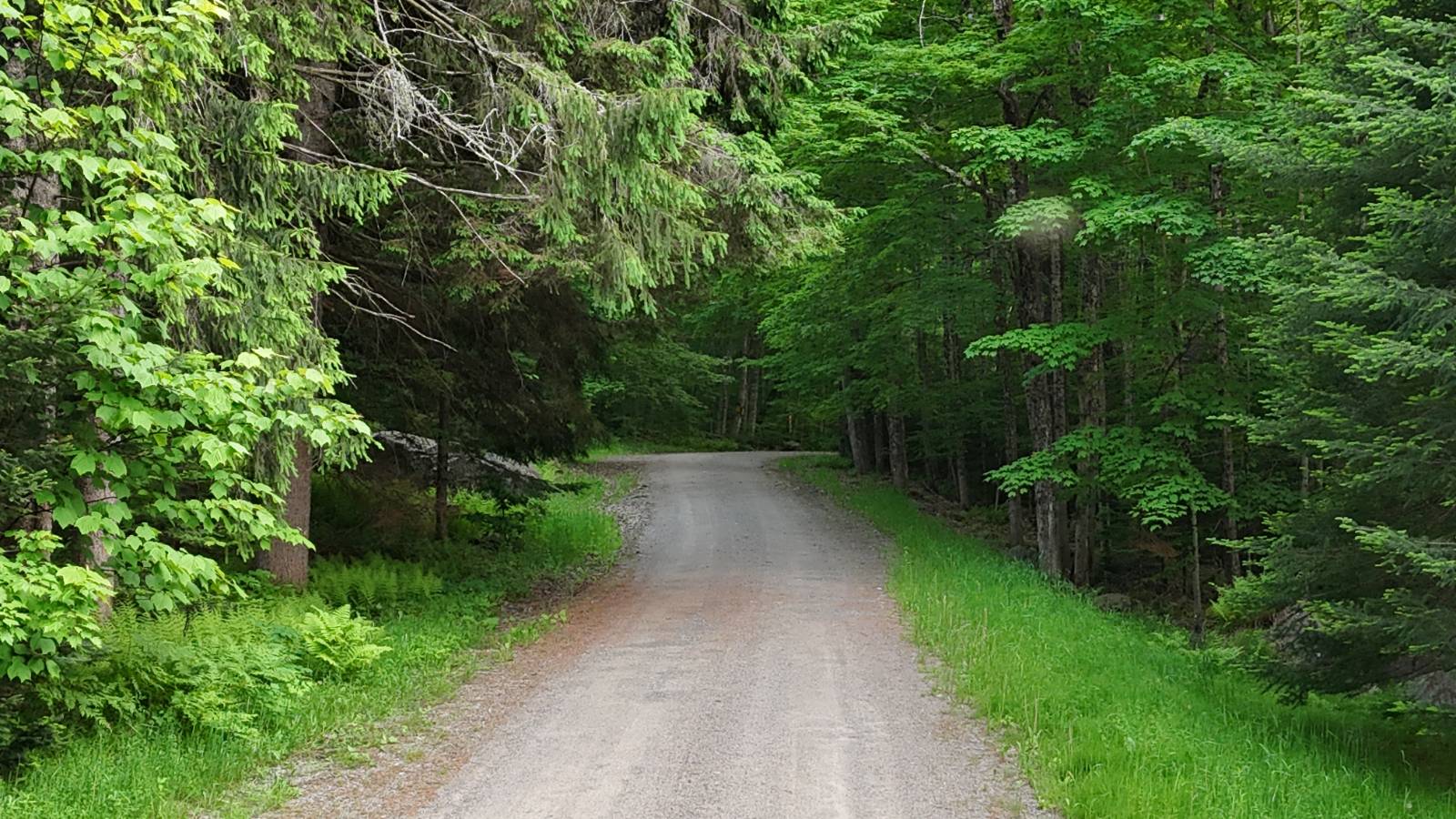 #12 photo, 00 Withers Rd, Ohio , NY 13324