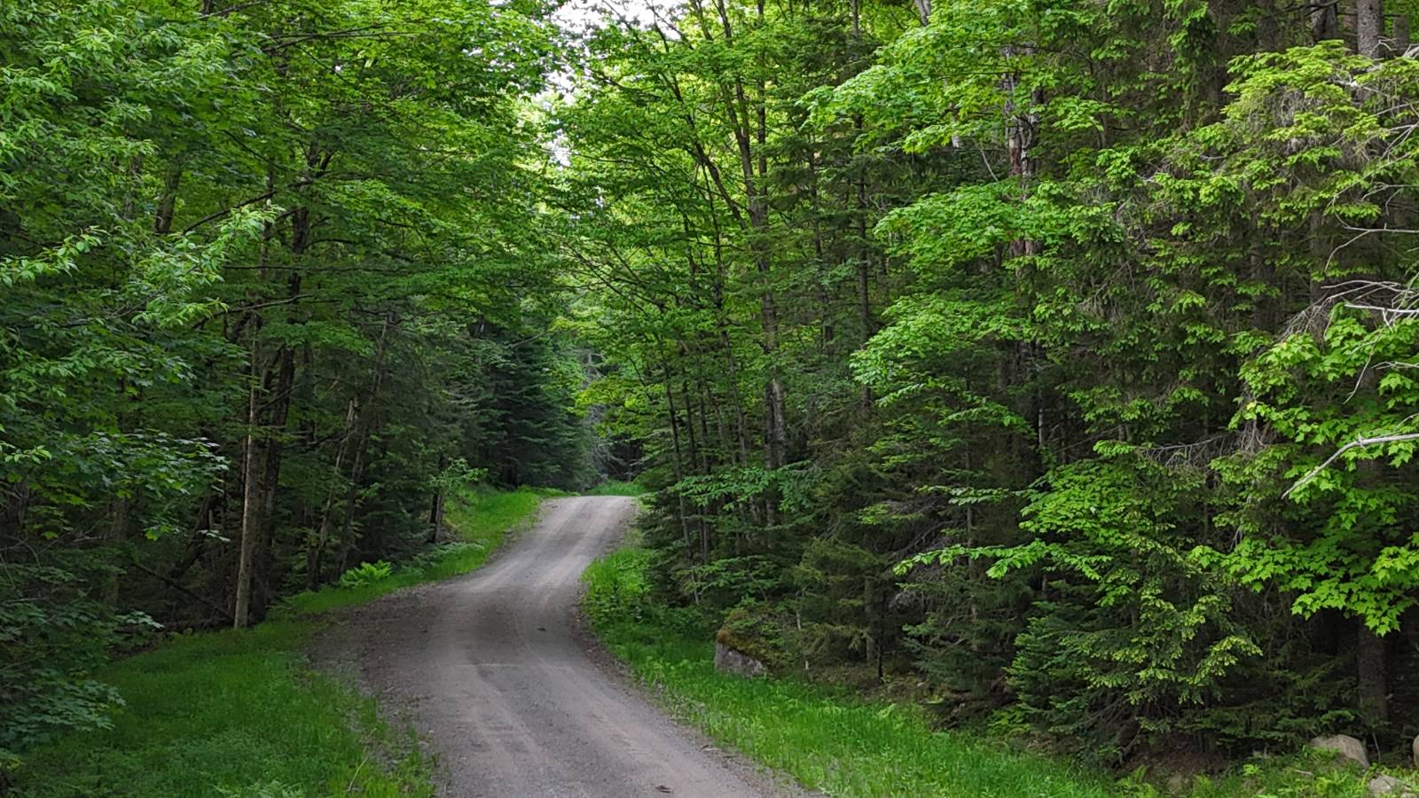 #13 photo, 00 Withers Rd, Ohio , NY 13324