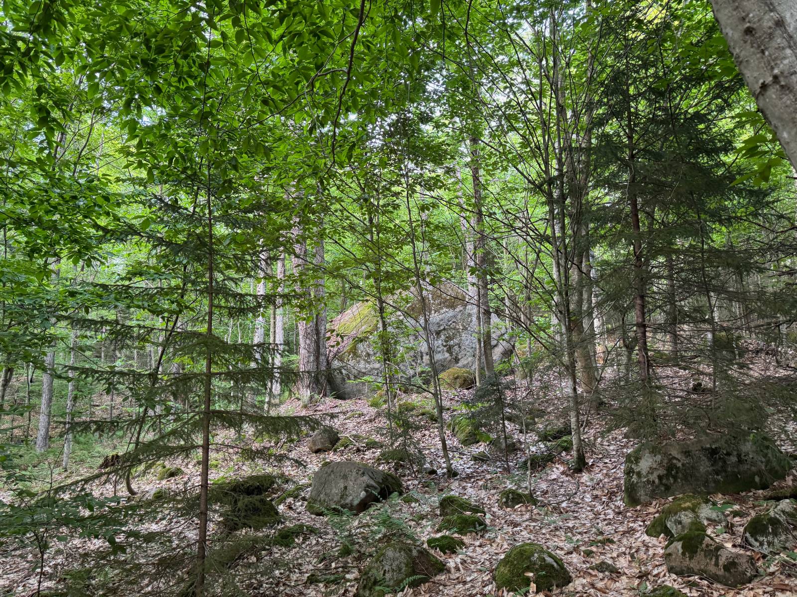 #14 photo, 00 Withers Rd, Ohio , NY 13324