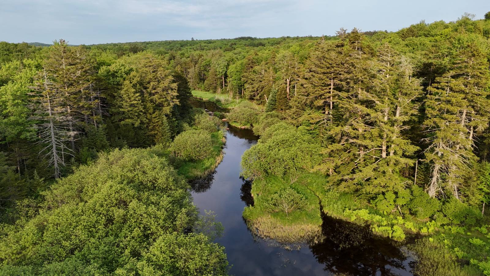 #15 photo, 00 Withers Rd, Ohio , NY 13324